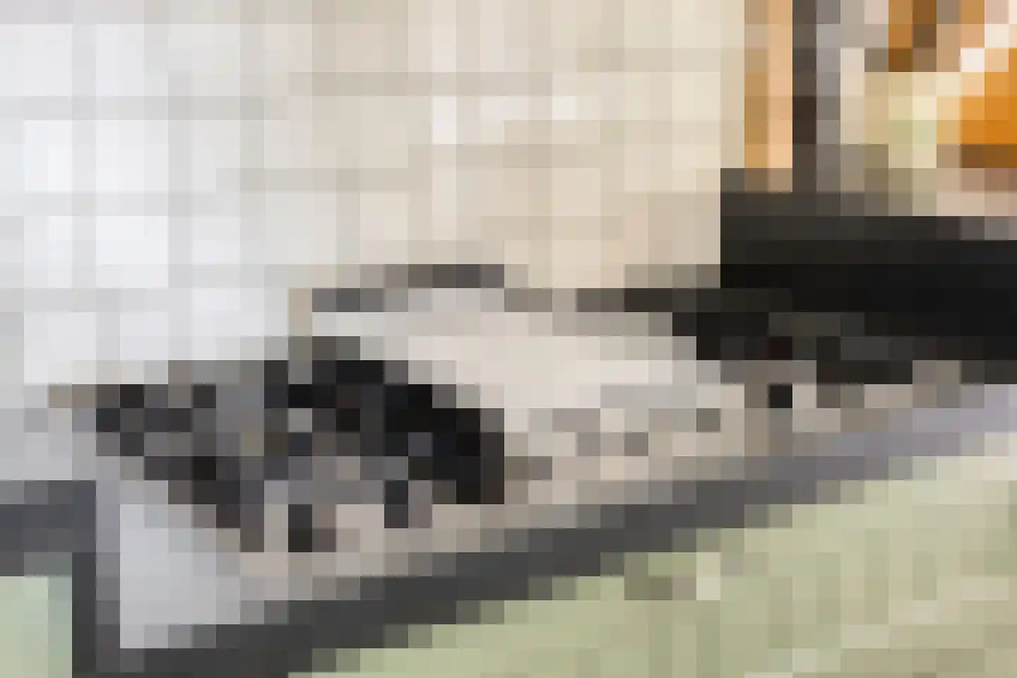 Sluitappel 19 Sint-Oedenrode thumbnail 34