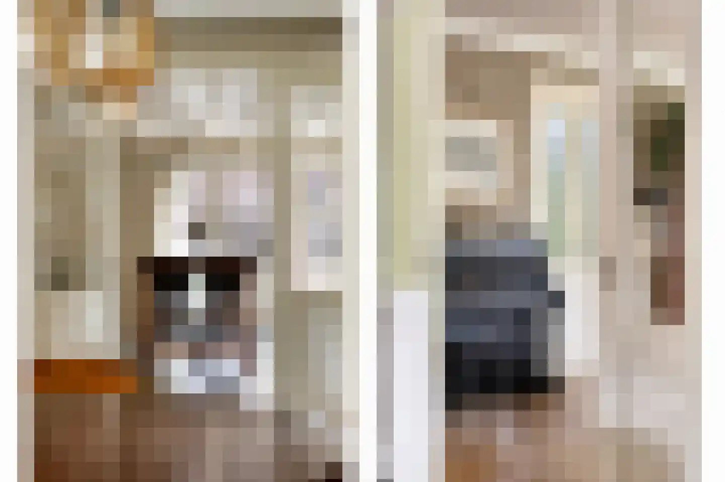 Sluitappel 19 Sint-Oedenrode thumbnail 37