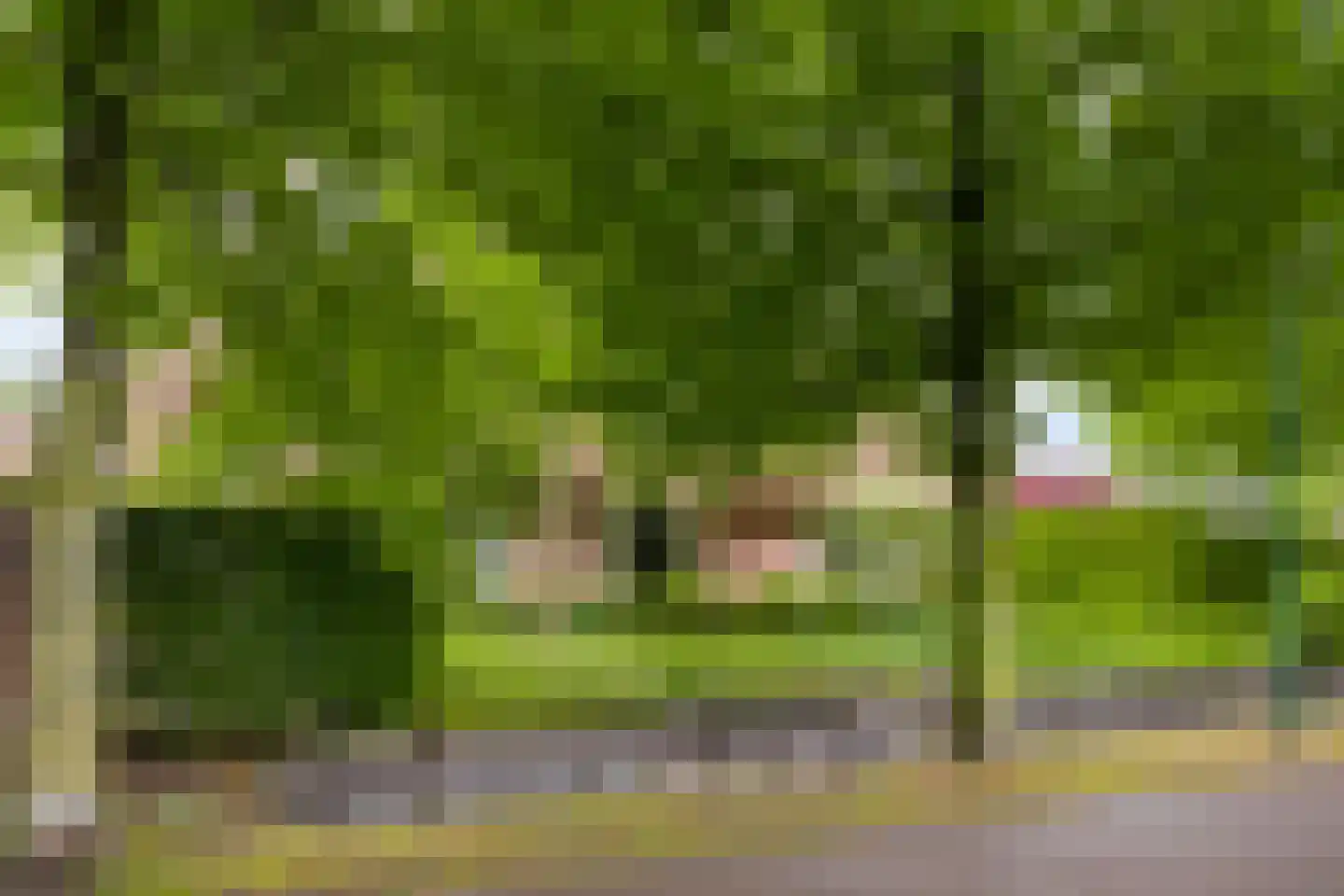 Sluitappel 19 Sint-Oedenrode thumbnail 4