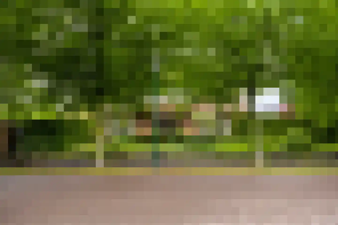 Sluitappel 19 Sint-Oedenrode thumbnail 4