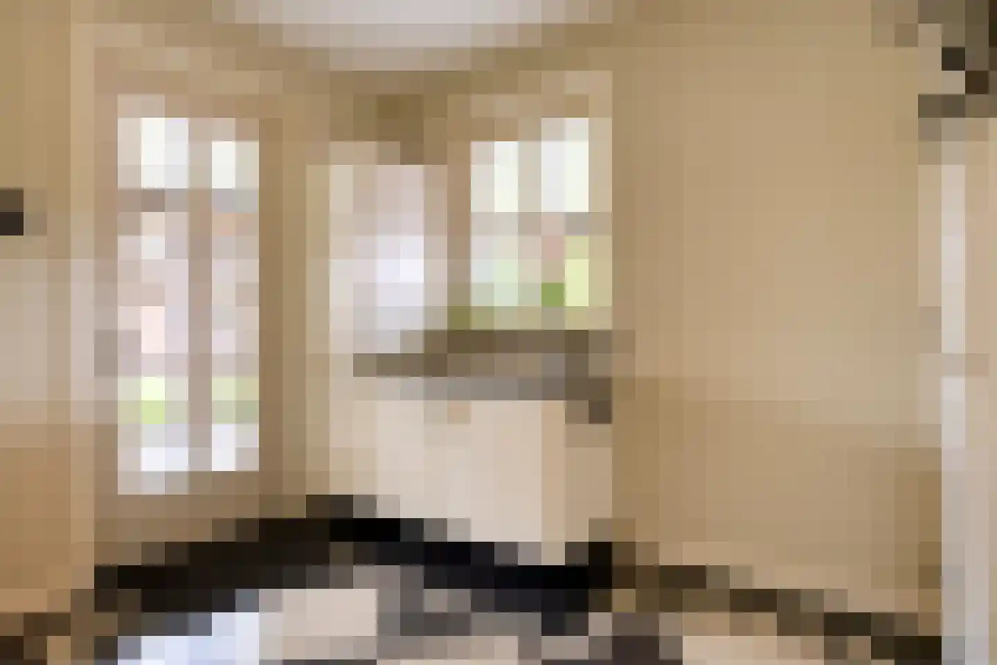 Sluitappel 19 Sint-Oedenrode thumbnail 41