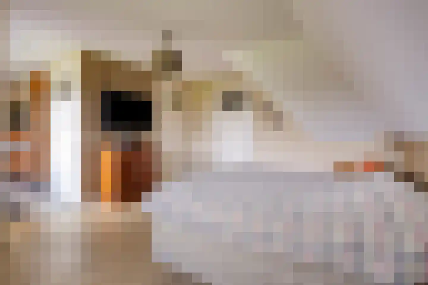 Sluitappel 19 Sint-Oedenrode thumbnail 45