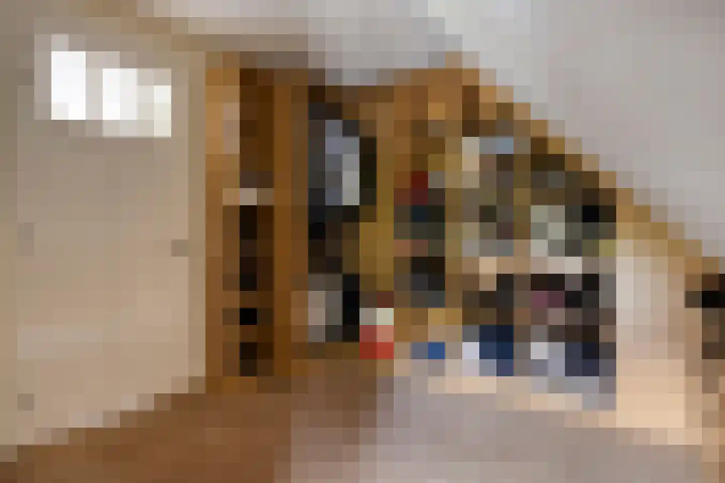 Sluitappel 19 Sint-Oedenrode thumbnail 48