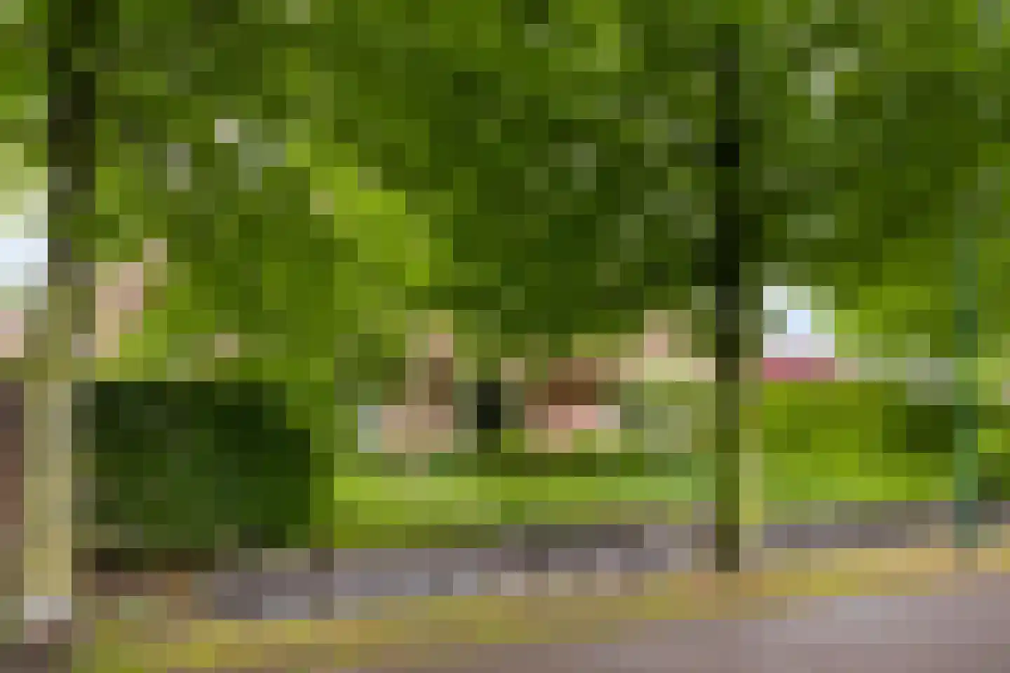 Sluitappel 19 Sint-Oedenrode thumbnail 5