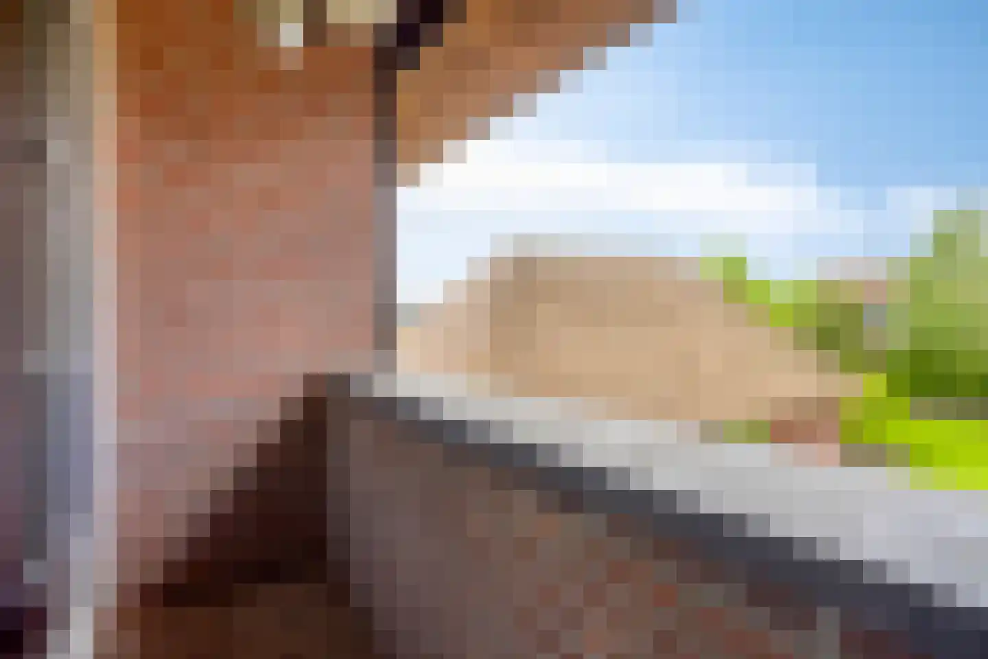 Sluitappel 19 Sint-Oedenrode thumbnail 52