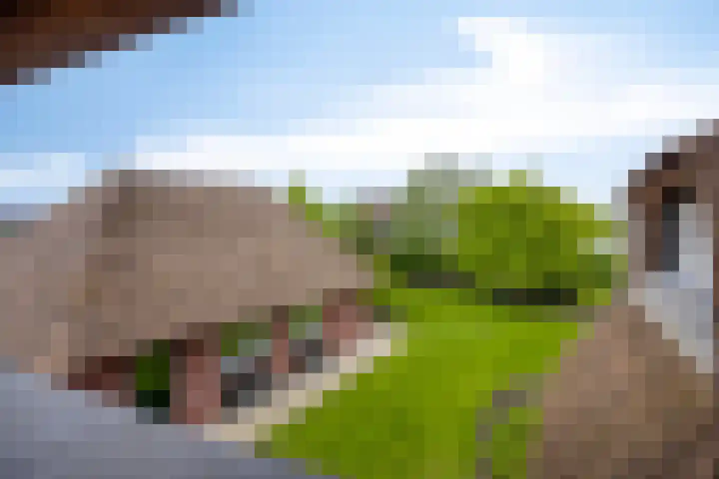 Sluitappel 19 Sint-Oedenrode thumbnail 53