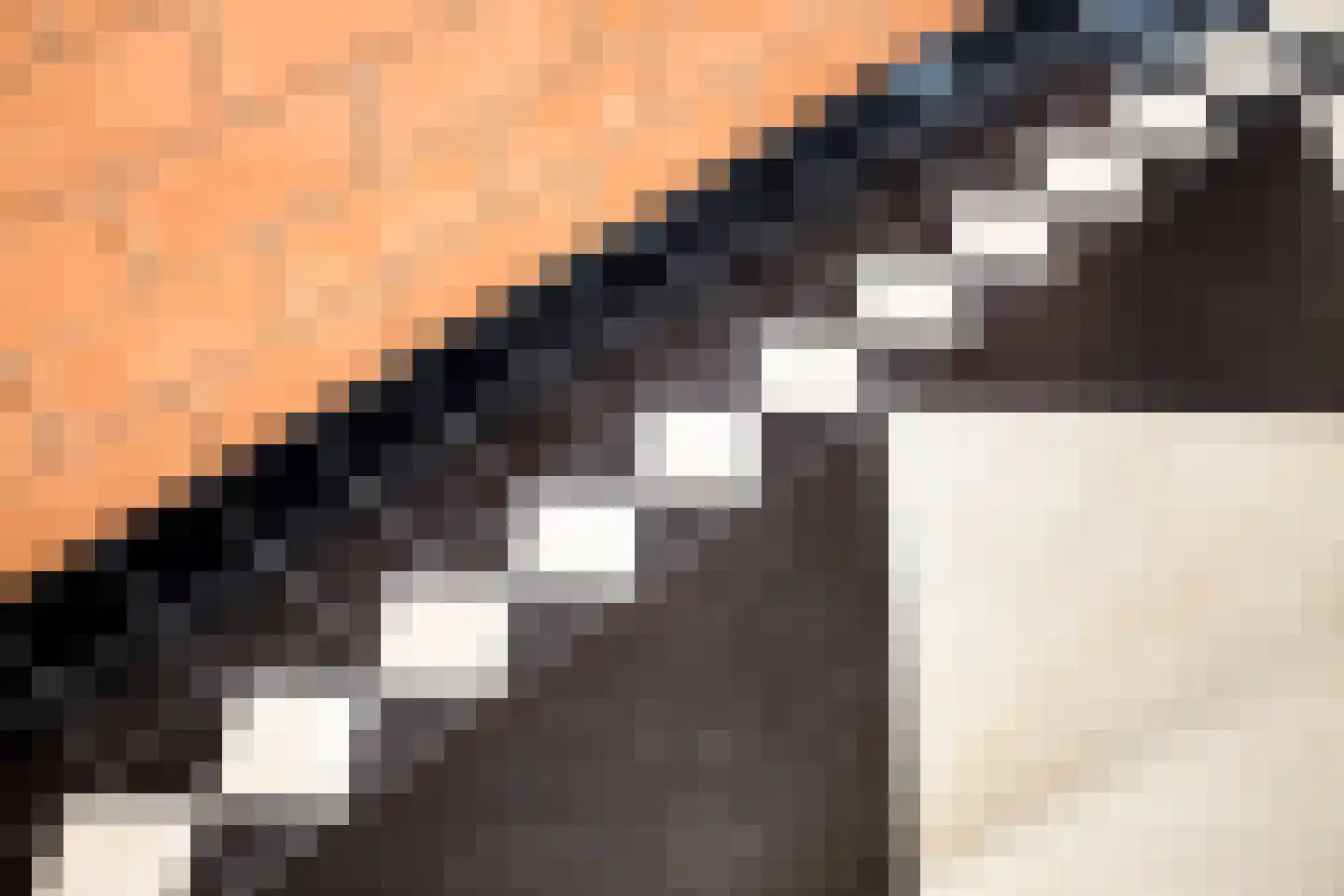 Sluitappel 19 Sint-Oedenrode thumbnail 59