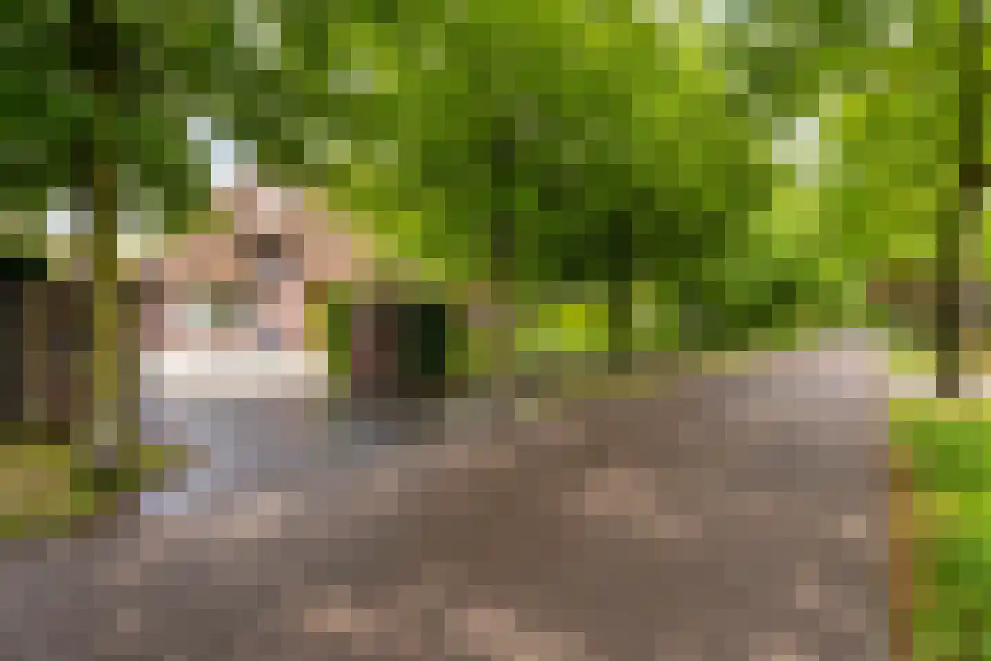 Sluitappel 19 Sint-Oedenrode thumbnail 6