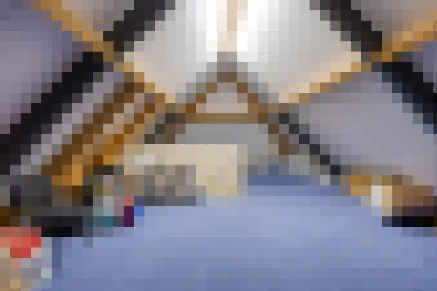 Sluitappel 19 Sint-Oedenrode thumbnail 68