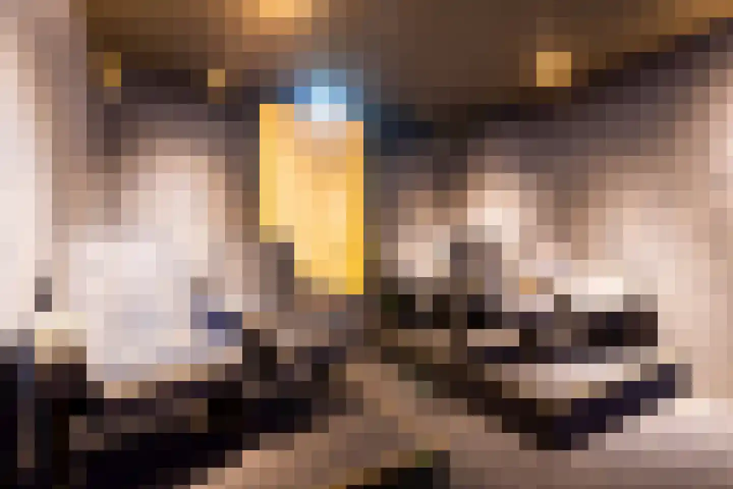 Sluitappel 19 Sint-Oedenrode thumbnail 72