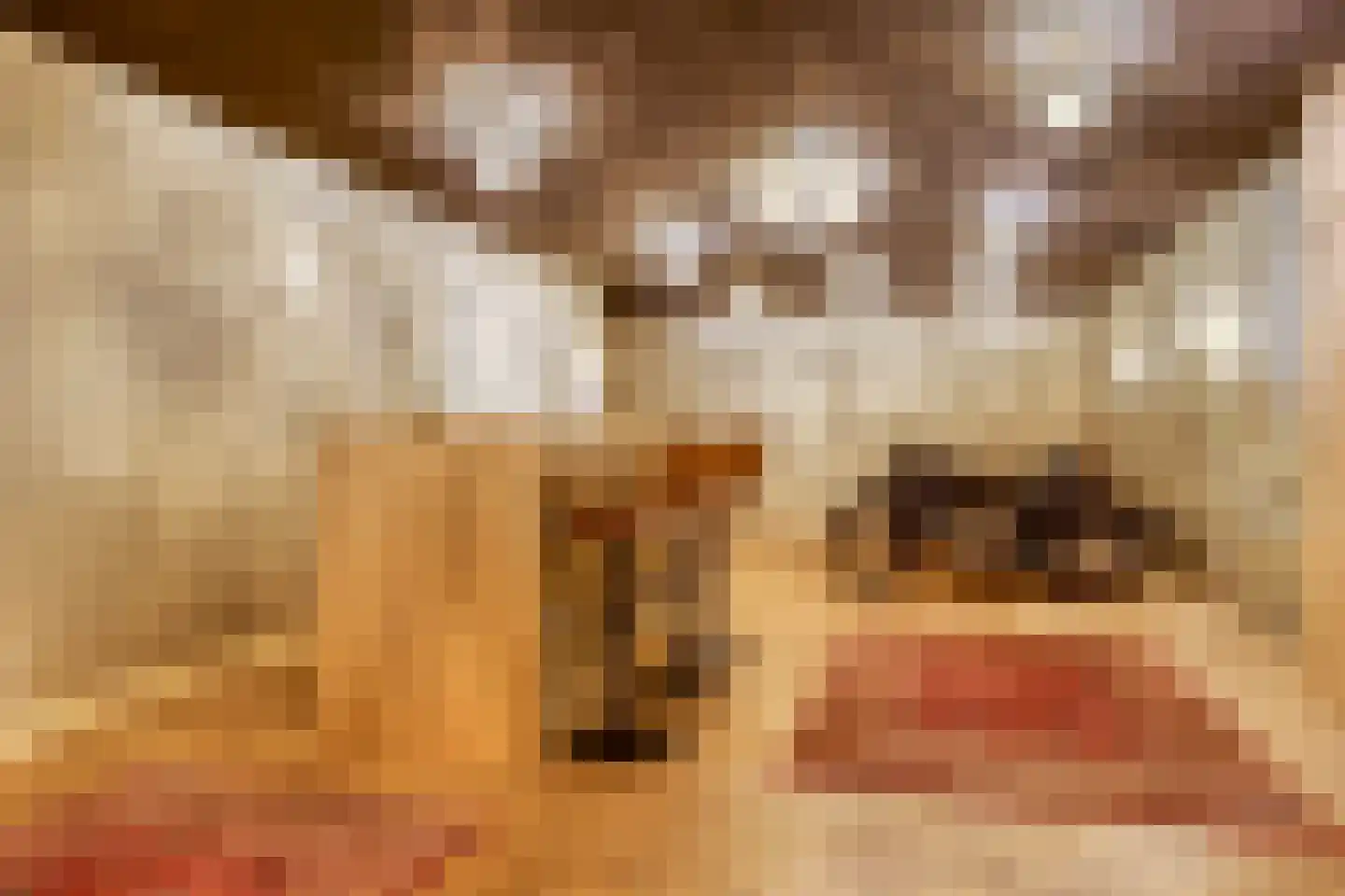 Sluitappel 19 Sint-Oedenrode thumbnail 75