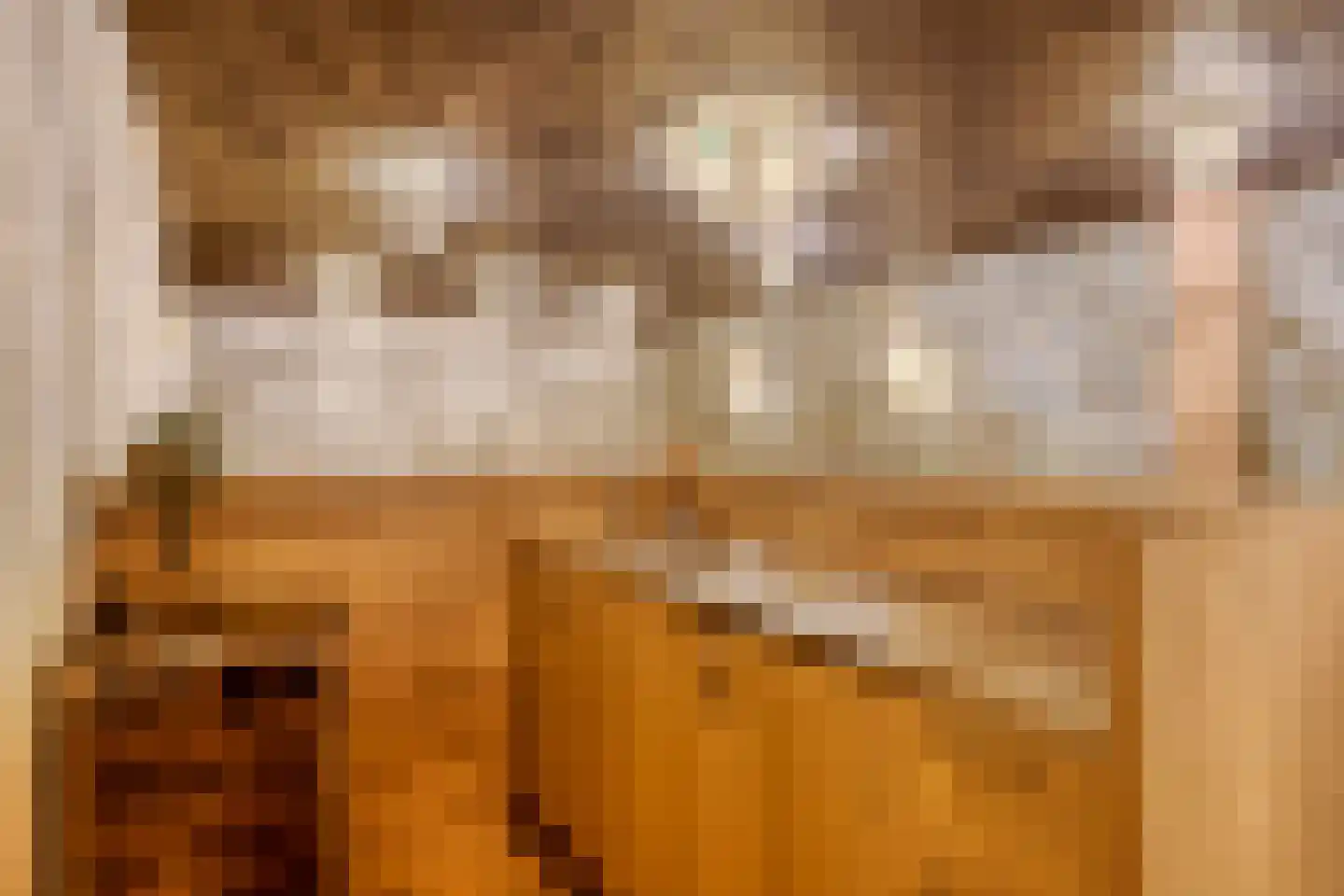 Sluitappel 19 Sint-Oedenrode thumbnail 76