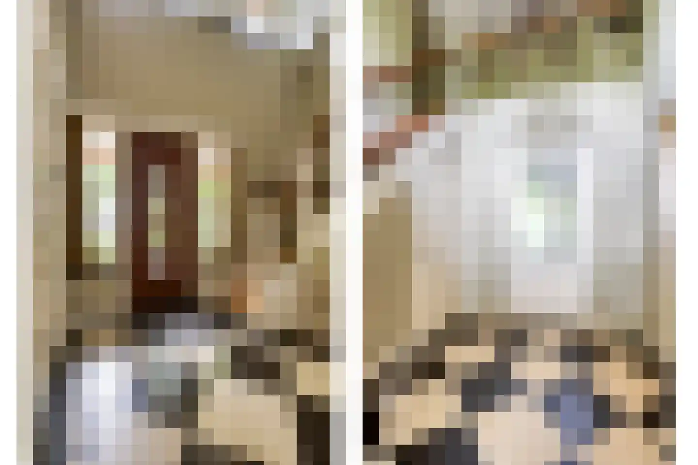 Sluitappel 19 Sint-Oedenrode thumbnail 8