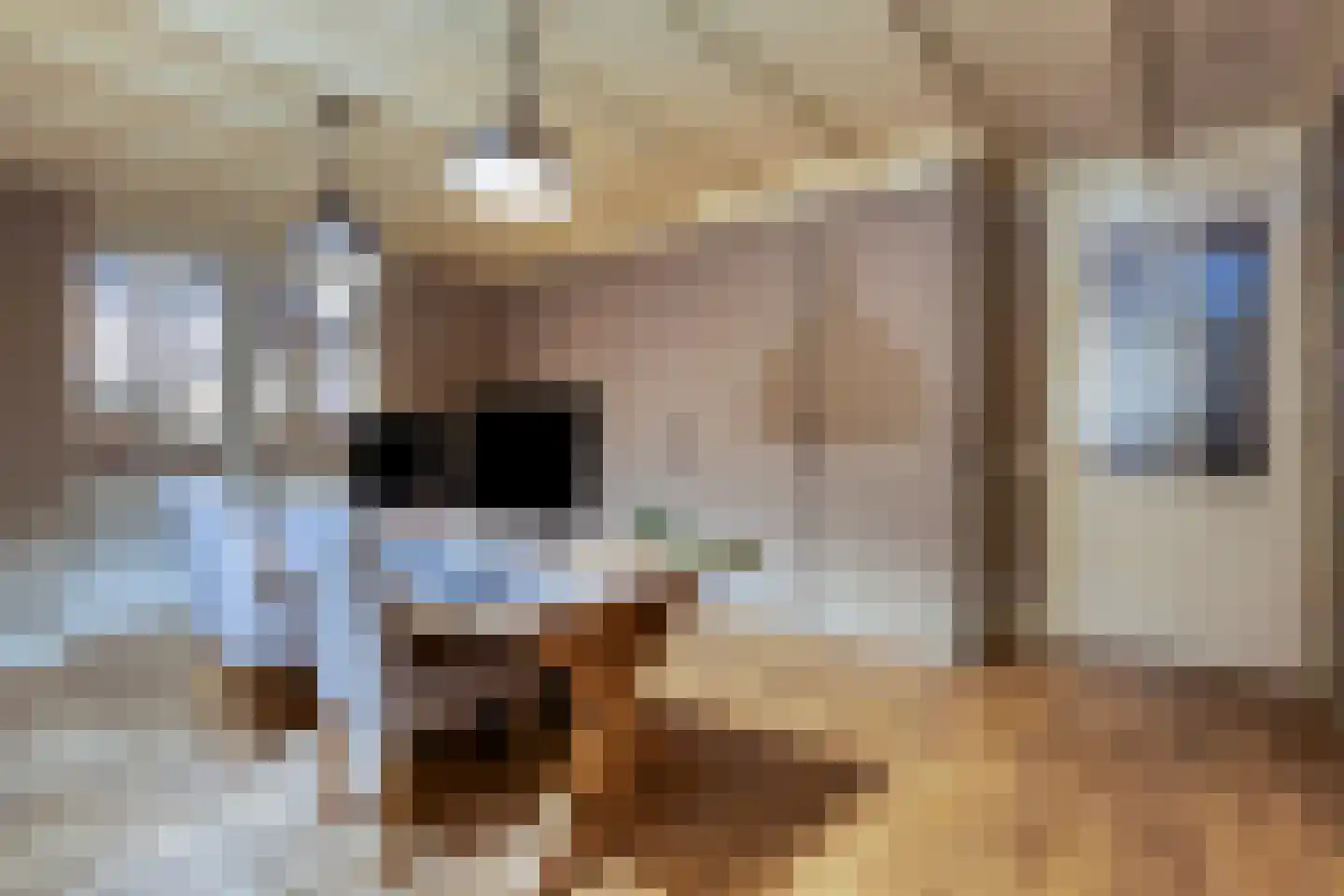 Sluitappel 19 Sint-Oedenrode thumbnail 80