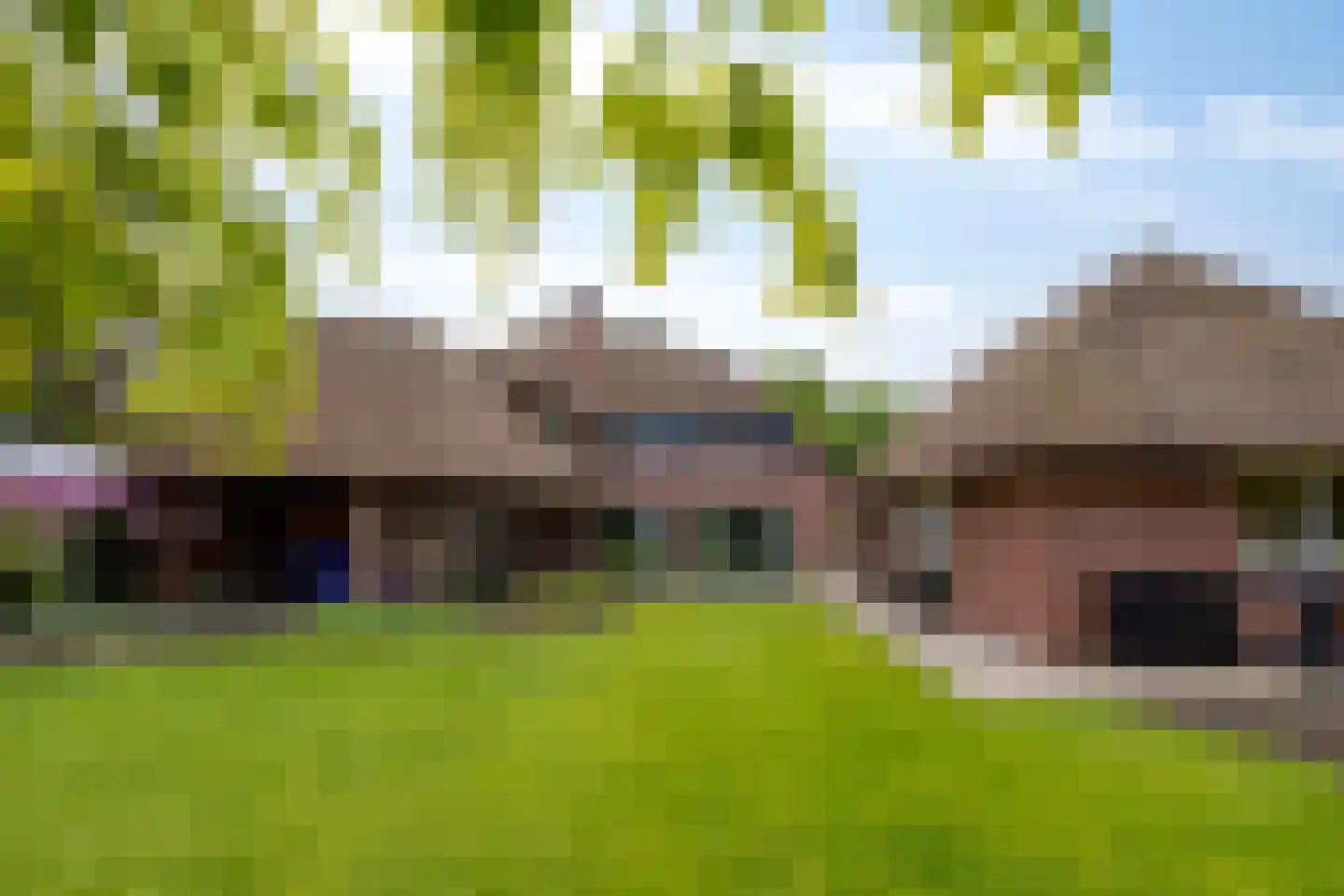 Sluitappel 19 Sint-Oedenrode thumbnail 87