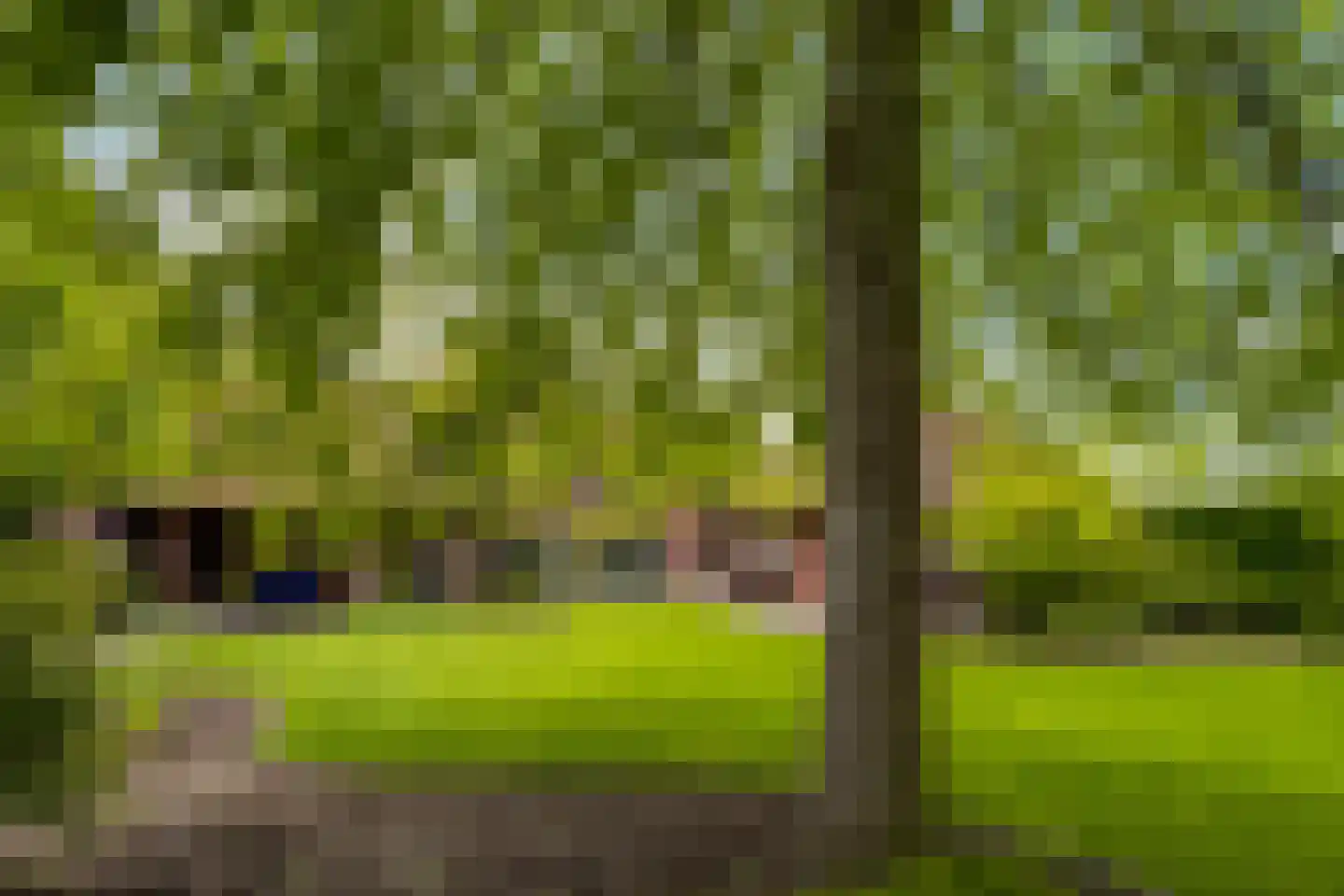 Sluitappel 19 Sint-Oedenrode thumbnail 91