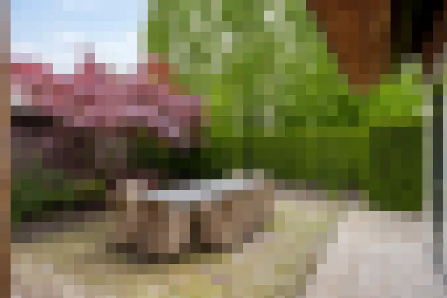 Sluitappel 19 Sint-Oedenrode thumbnail 93
