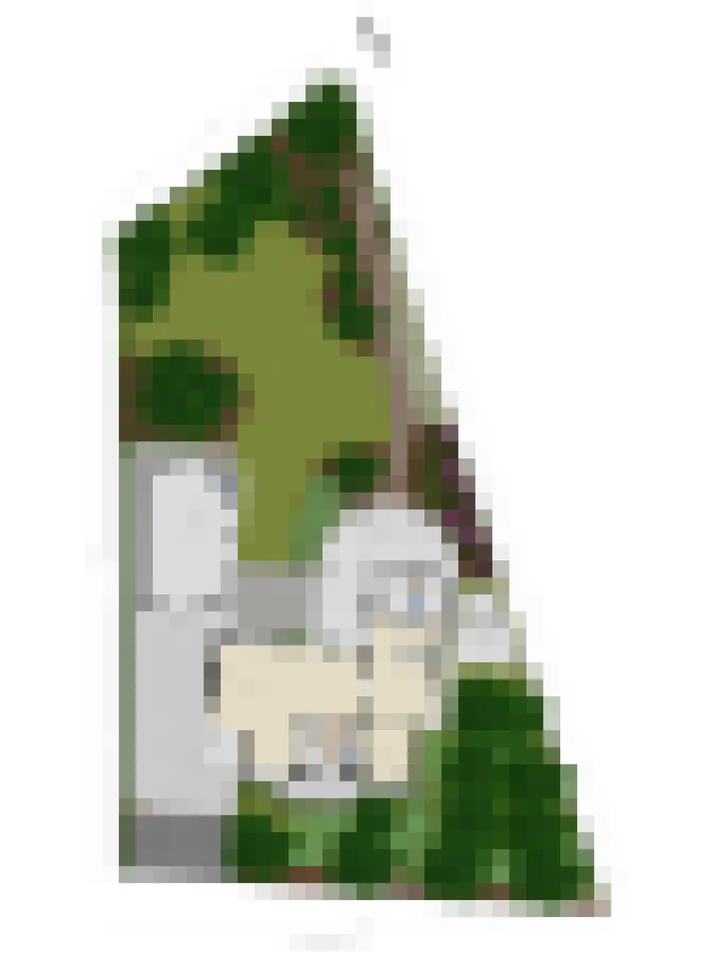 Sluitappel 19 Sint-Oedenrode thumbnail 94