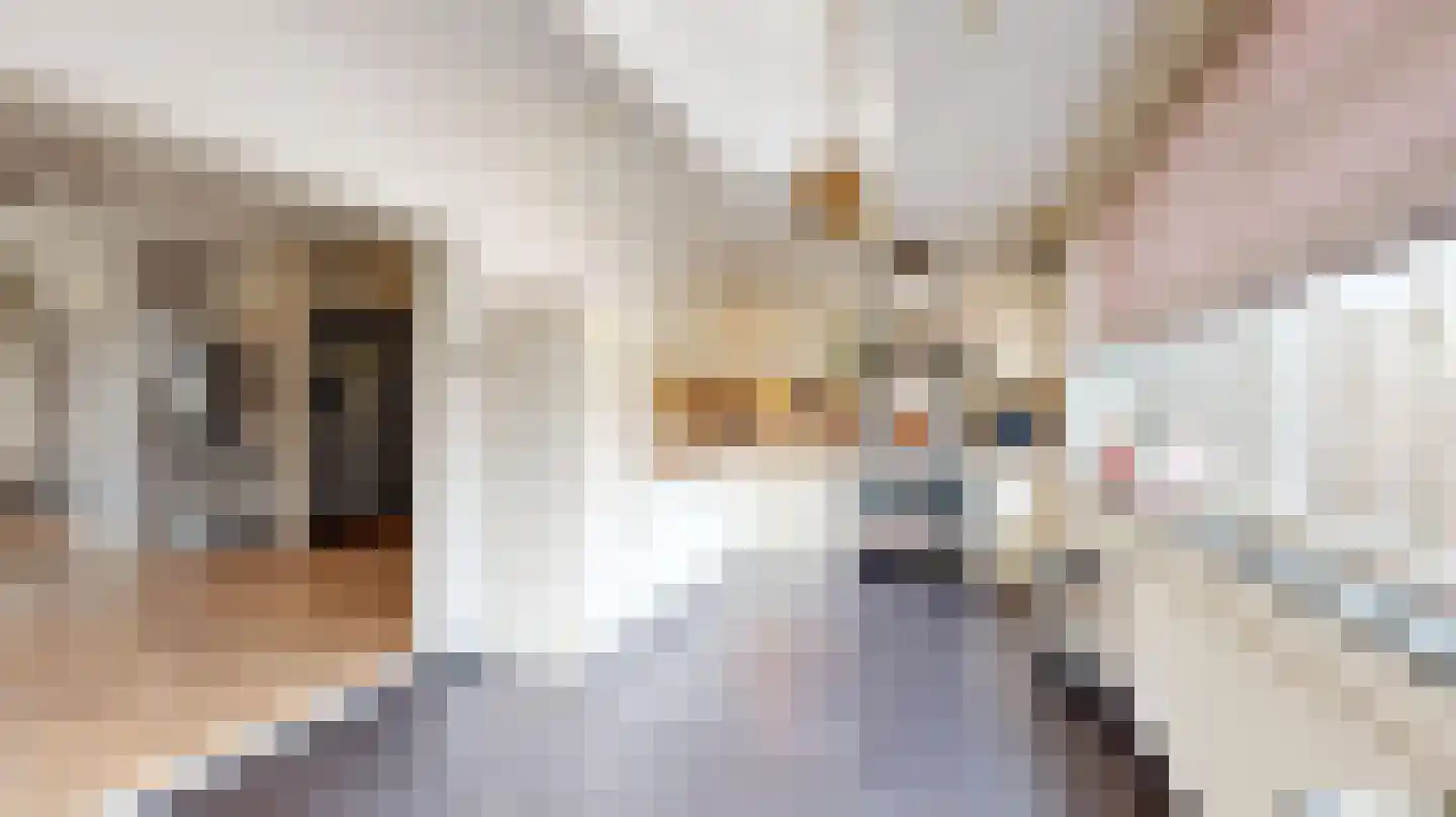 Sluiterdstraat 50 Brunssum thumbnail 8