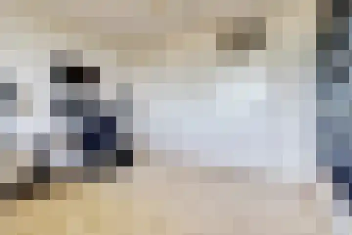Sluitzegel 7 Zevenaar thumbnail 10