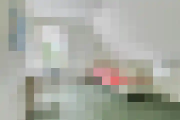 Sluitzegel 7 Zevenaar thumbnail 19