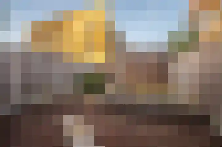 Sluitzegel 7 Zevenaar thumbnail 28
