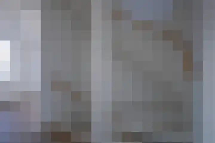 Sluitzegel 7 Zevenaar thumbnail 31