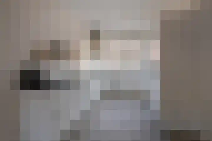 Sluitzegel 7 Zevenaar thumbnail 4