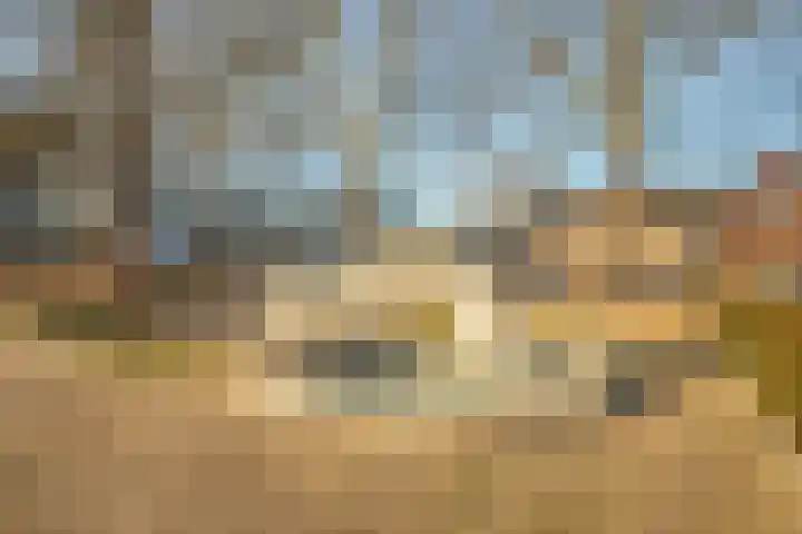 Sluitzegel 7 Zevenaar thumbnail 5