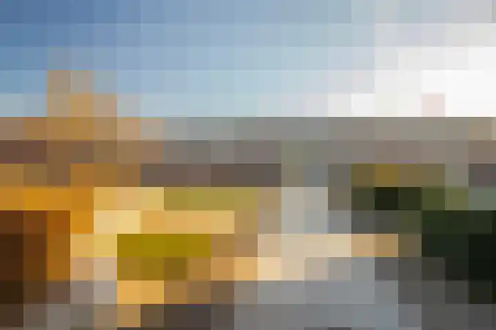 Sluitzegel 7 Zevenaar thumbnail 7