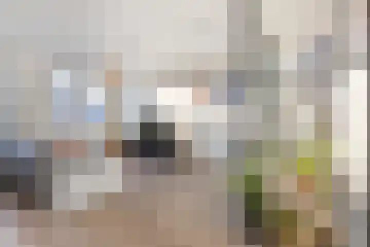Sluizerbank 8 Maastricht thumbnail 12