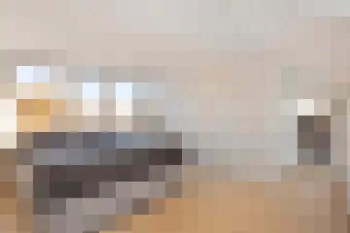 Sluizerbank 8 Maastricht thumbnail 21