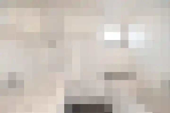 Sluizerbank 8 Maastricht thumbnail 4