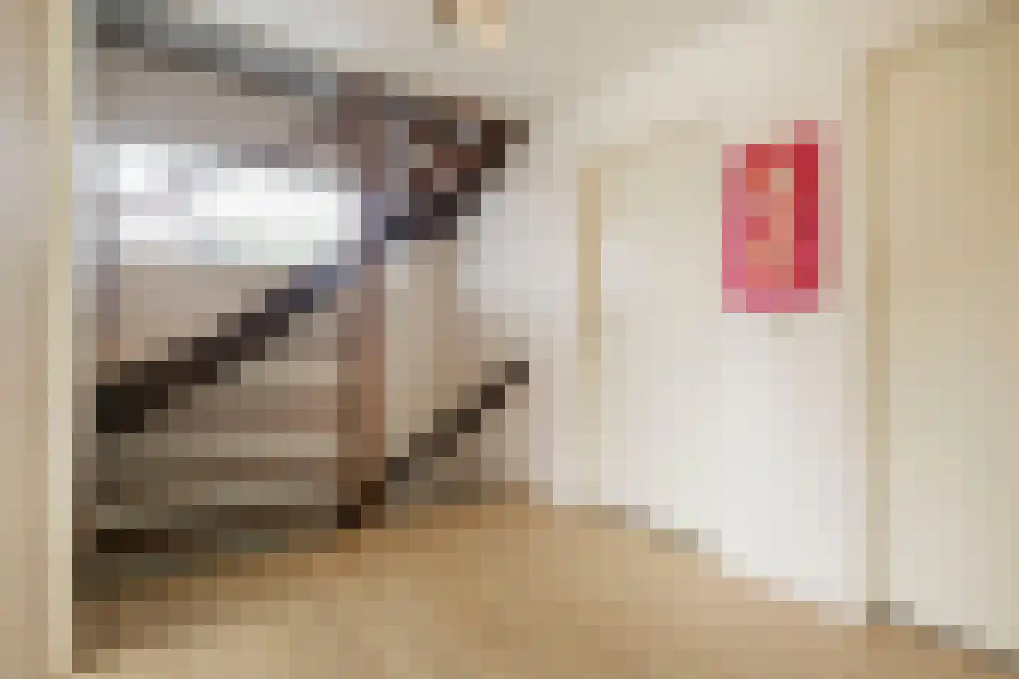 Slunterweg 10 Ede thumbnail 25