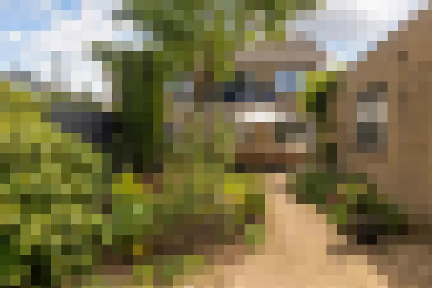 Slunterweg 10 Ede thumbnail 35