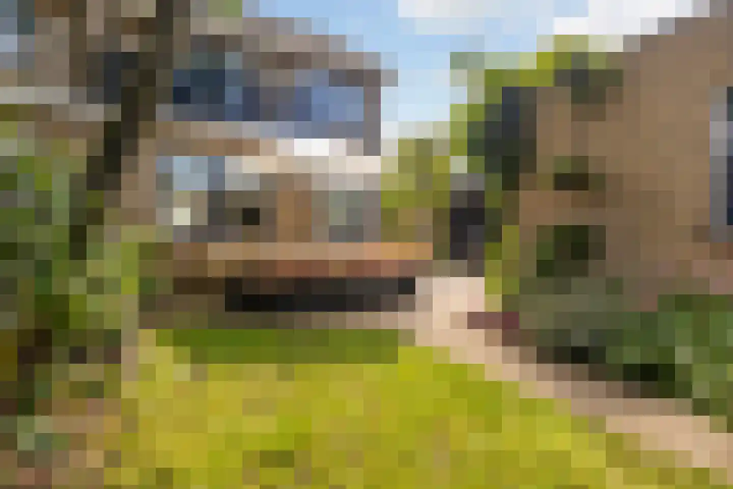 Slunterweg 10 Ede thumbnail 36