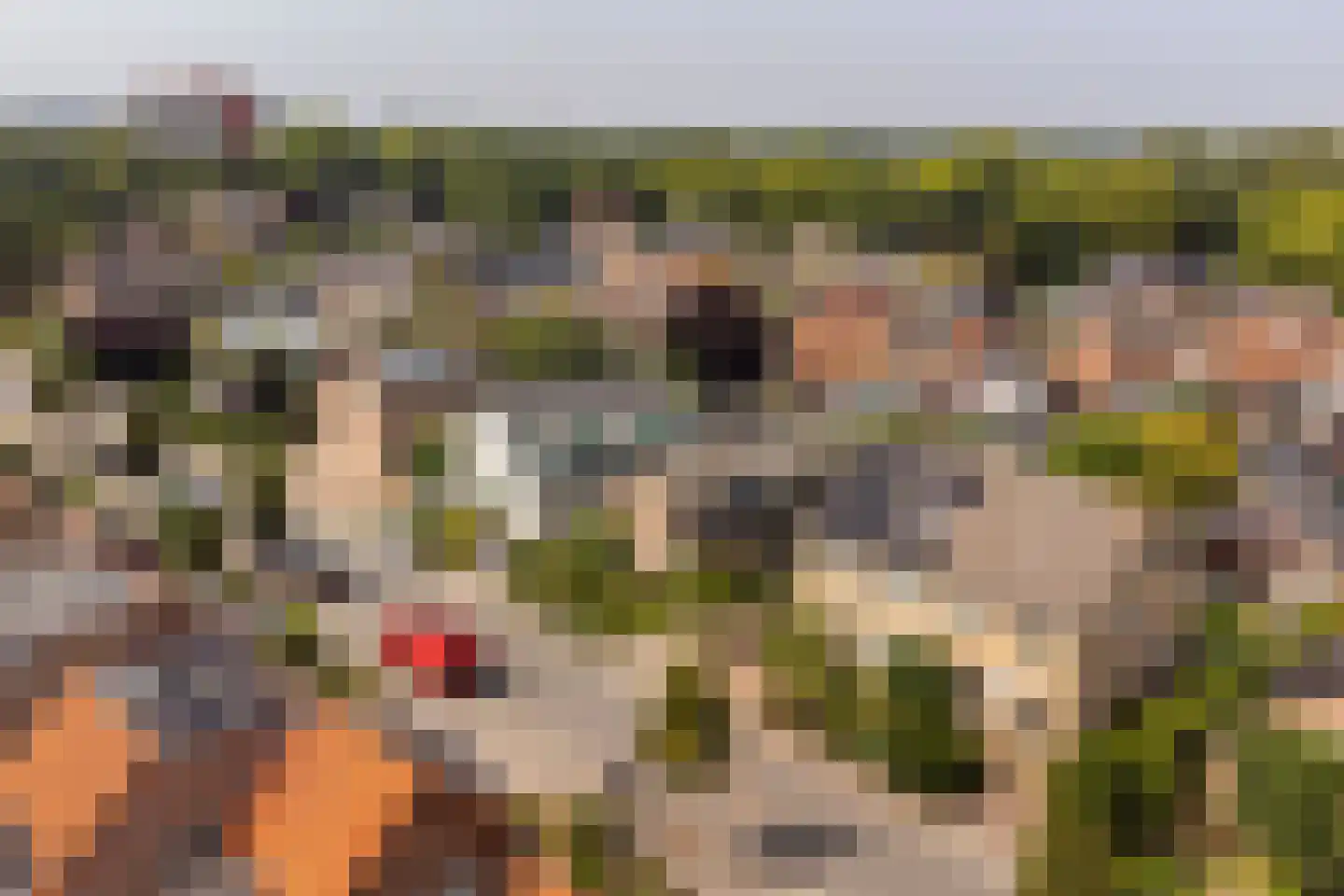 Slunterweg 10 Ede thumbnail 44
