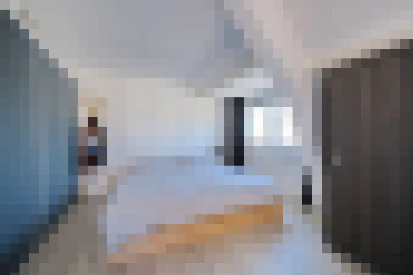 Slunterweg 17 Ede thumbnail 16