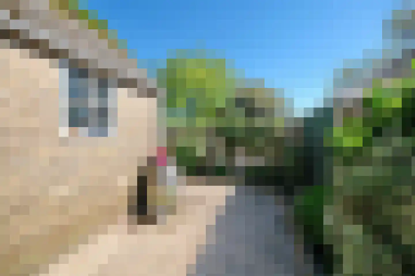 Slunterweg 17 Ede thumbnail 28