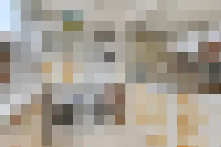 Slunterweg 21 Ede thumbnail 10