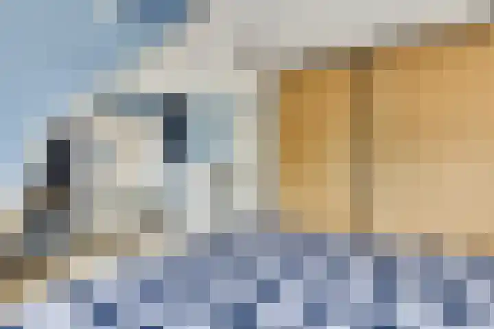 Slunterweg 21 Ede thumbnail 15