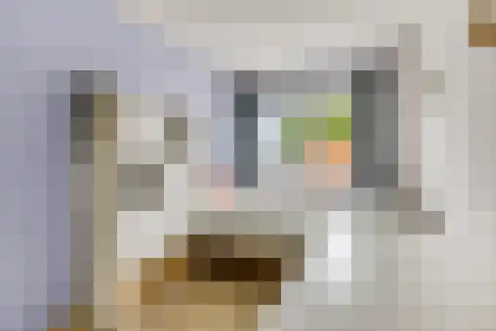 Slunterweg 21 Ede thumbnail 19