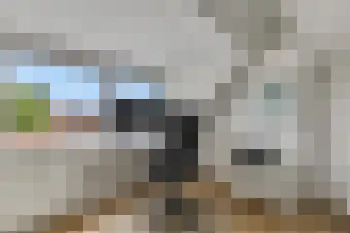 Slunterweg 21 Ede thumbnail 24