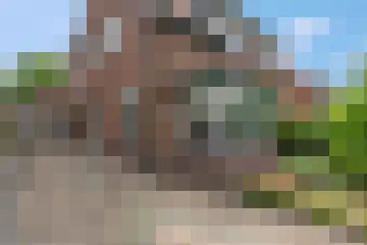Slunterweg 21 Ede thumbnail 34