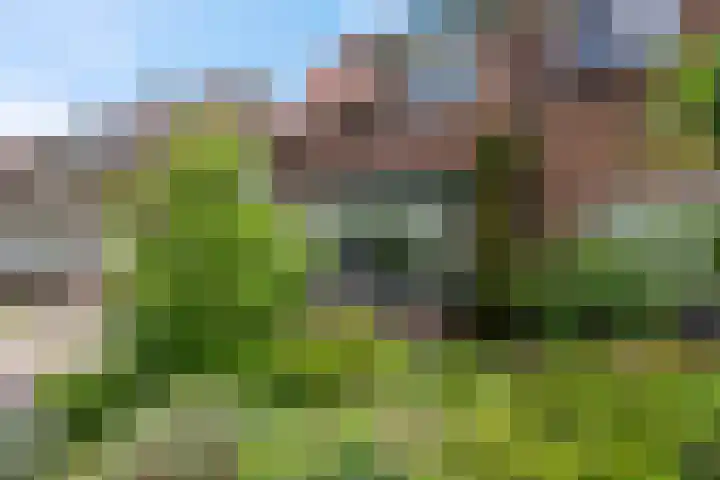 Slunterweg 21 Ede thumbnail 35