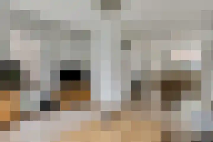 Slunterweg 21 Ede thumbnail 4