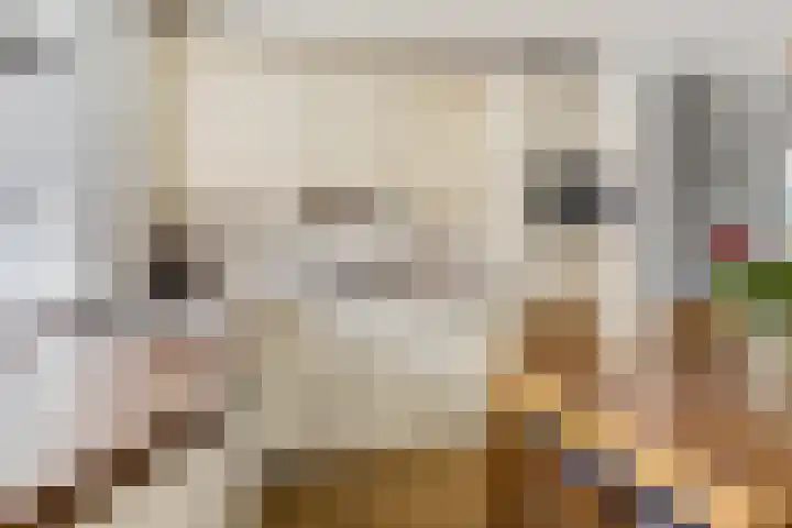 Slunterweg 21 Ede thumbnail 9