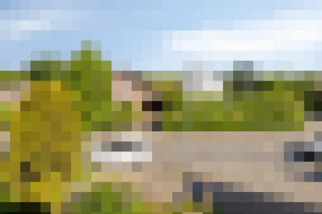 Slunterweg 47 Ede thumbnail 15