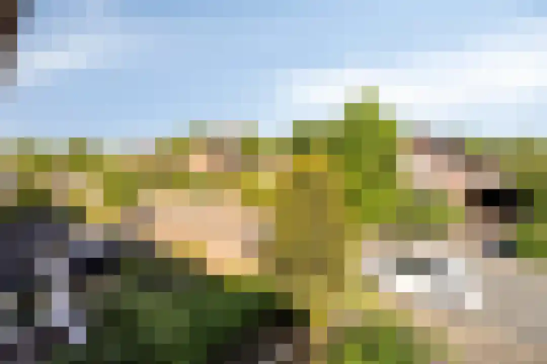 Slunterweg 47 Ede thumbnail 16