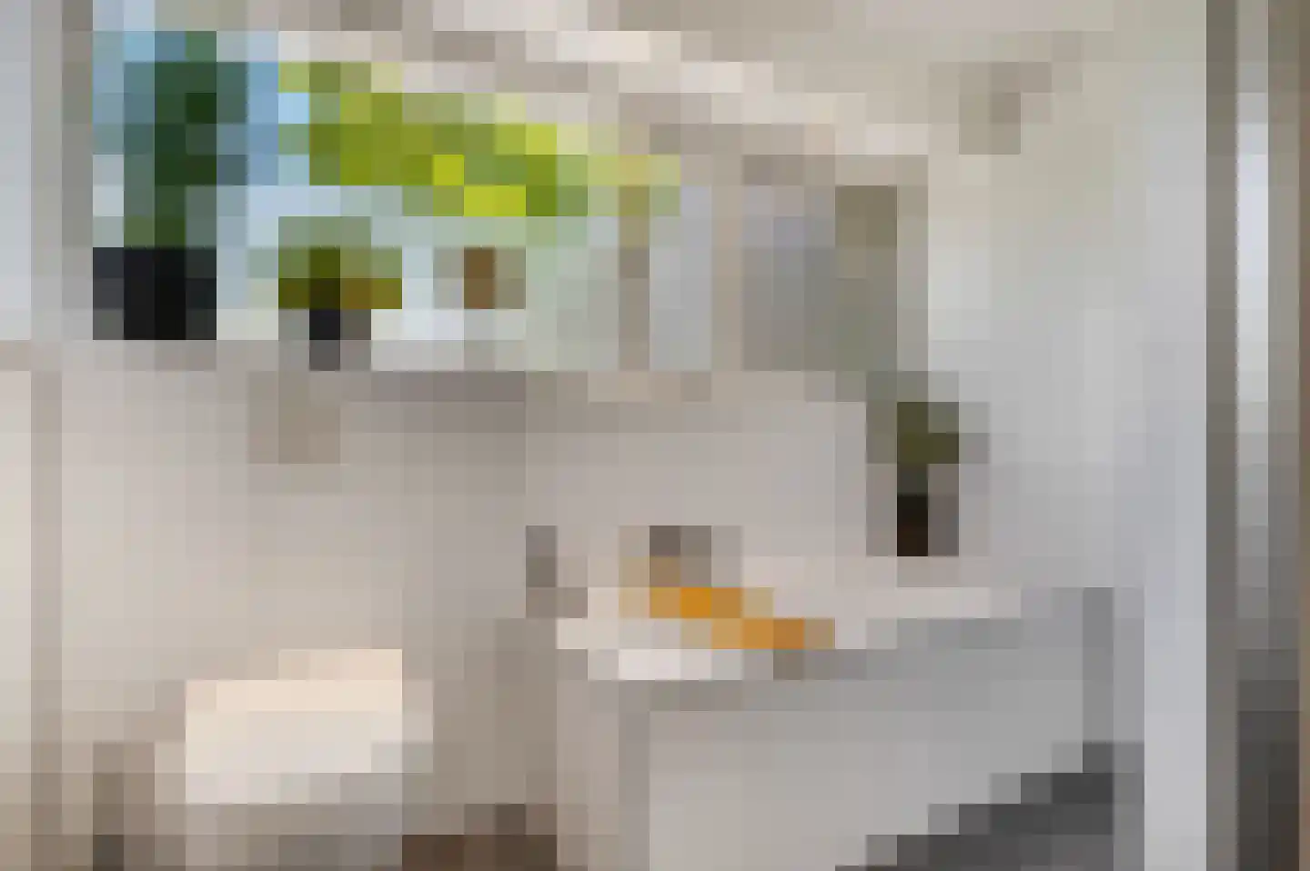 Slunterweg 48 Ede thumbnail 25